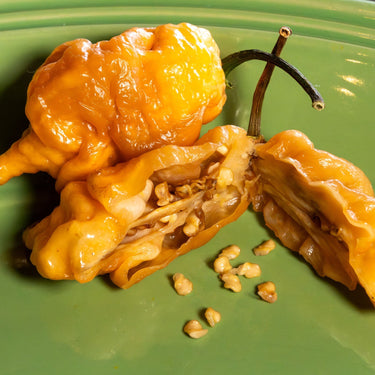 Thors Hammer Peach Pepper Seeds - The Pepper Pantry (Formerly Marie Sharp's)